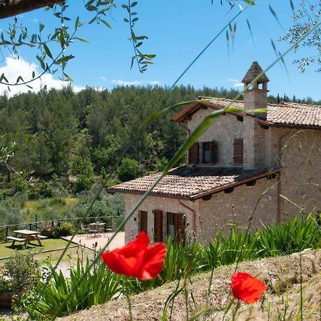 Agriturismo Molino Verde Montecchio  Kültér fotó