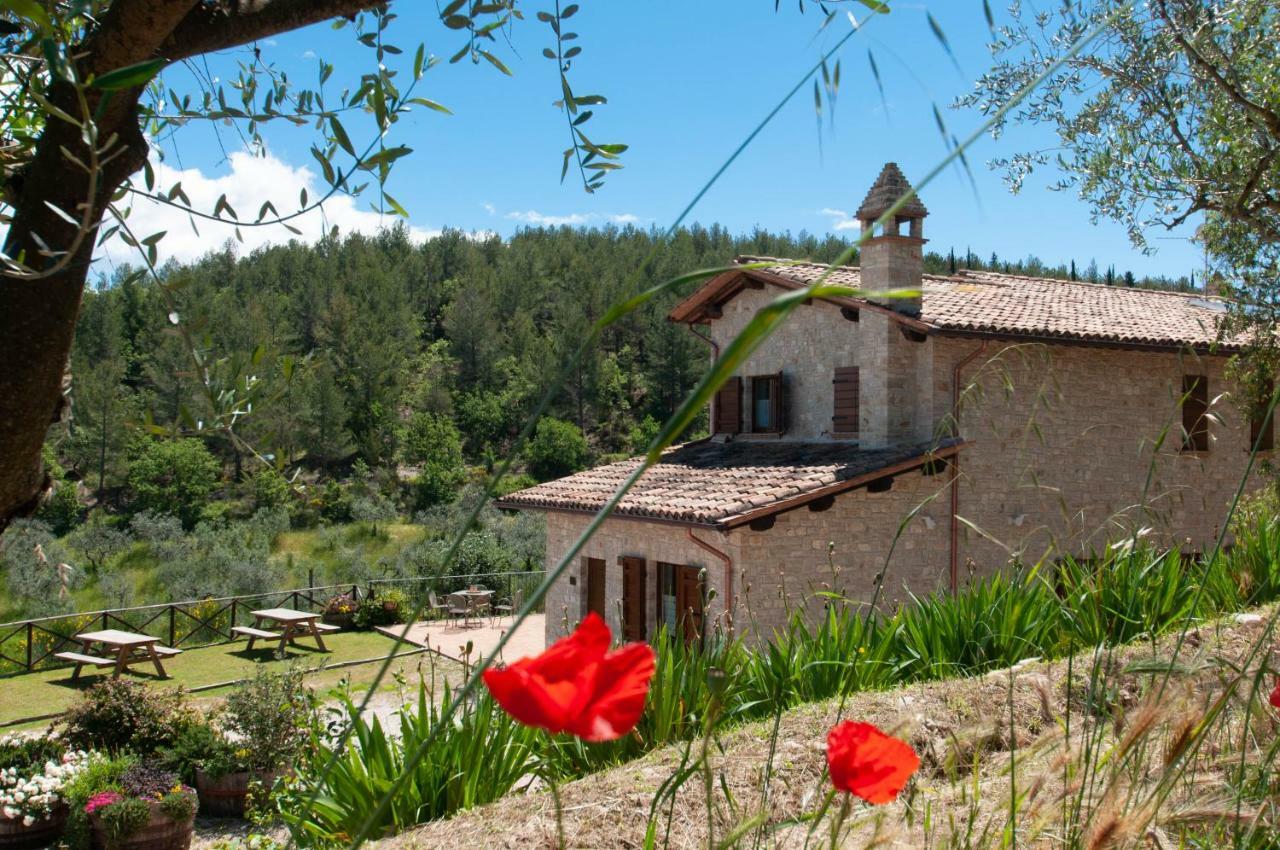 Agriturismo Molino Verde Montecchio  Kültér fotó