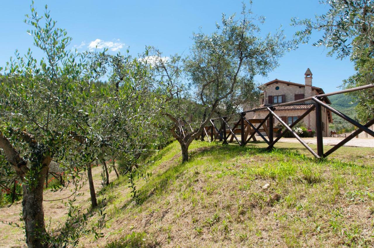 Agriturismo Molino Verde Montecchio  Kültér fotó
