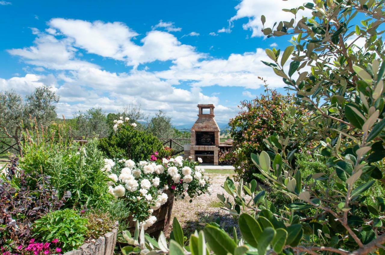 Agriturismo Molino Verde Montecchio  Kültér fotó