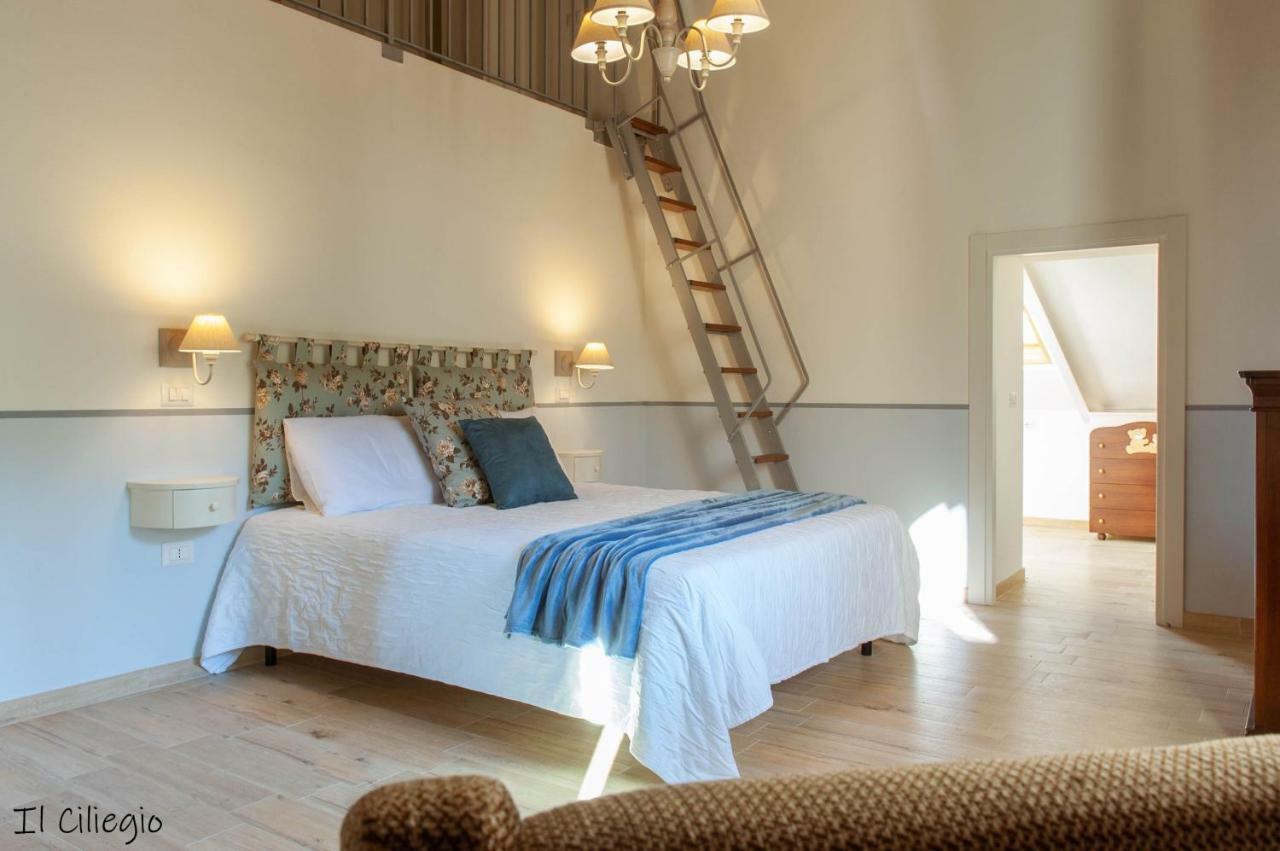Agriturismo Molino Verde Montecchio  Kültér fotó