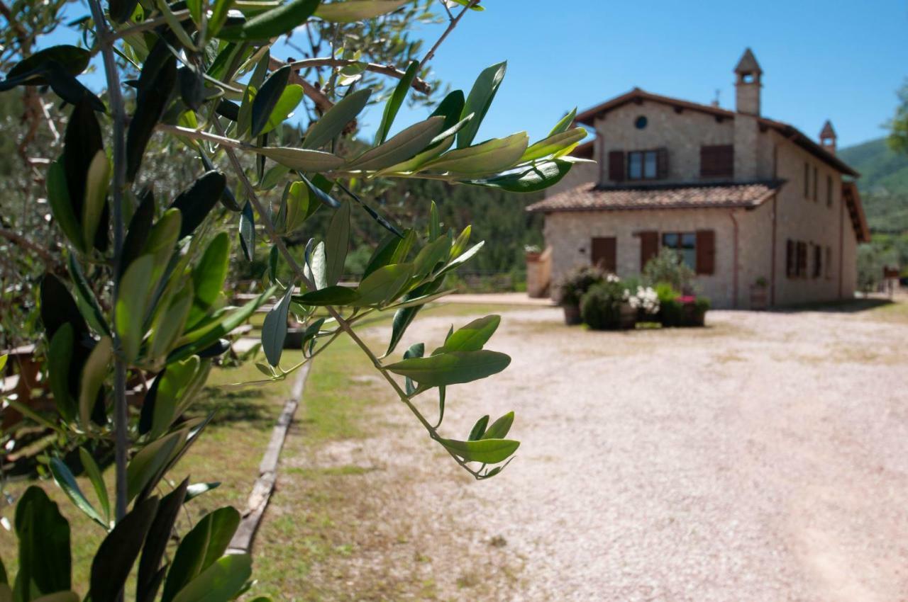 Agriturismo Molino Verde Montecchio  Kültér fotó