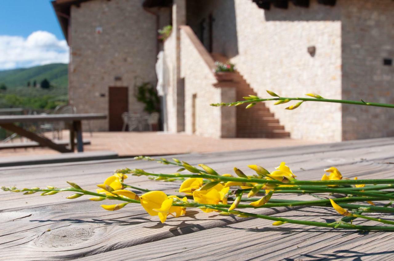 Agriturismo Molino Verde Montecchio  Kültér fotó