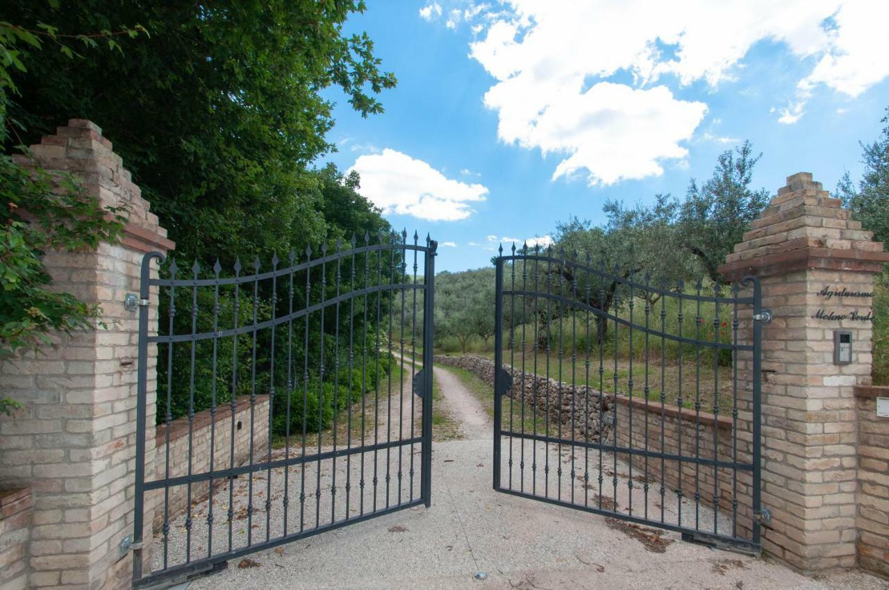 Agriturismo Molino Verde Montecchio  Kültér fotó