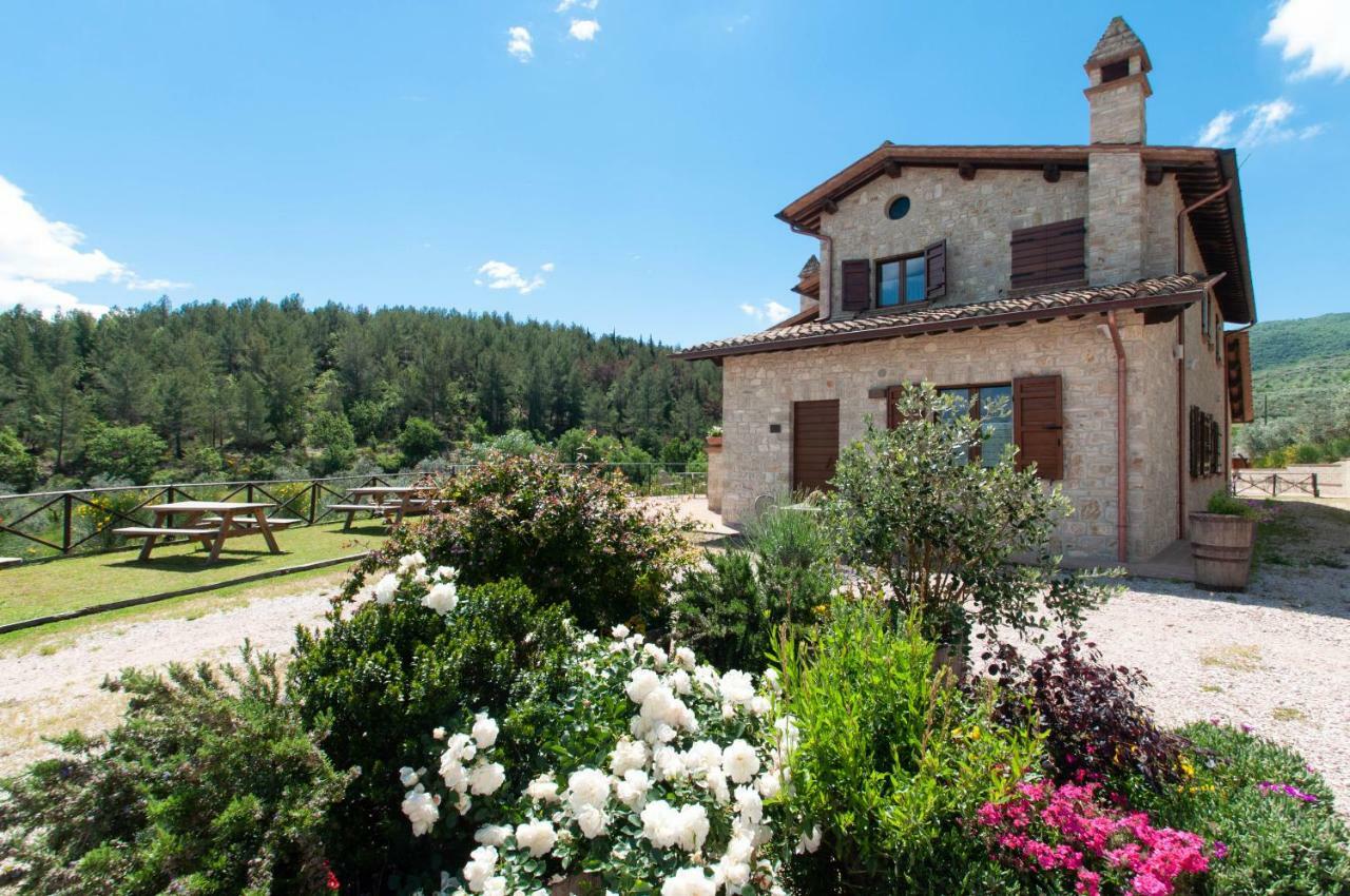 Agriturismo Molino Verde Montecchio  Kültér fotó